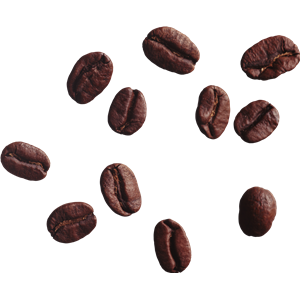 Coffee beans PNG image-9271